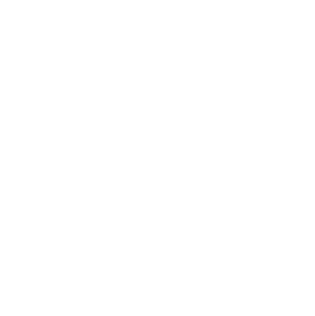 新加坡少林文化中心 Logo
